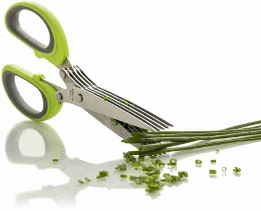 Herb Scissors Set 5 Blades Herb Scissors With Herb Stripper 7 Blades Onion  Scissors Stainless Steel Vegetable Scissors - Fruit & Vegetable Tools -  AliExpress