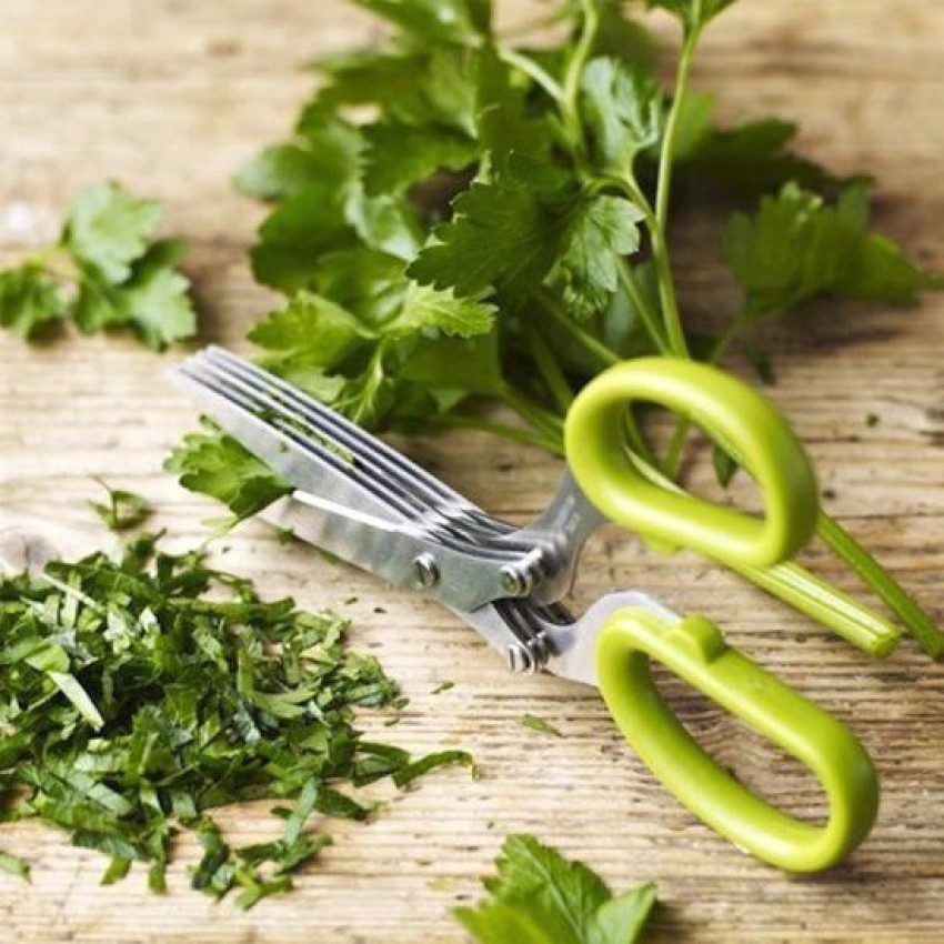 Herb Scissors Stainless Steel - Multipurpose Herb Cutter, Cilantro