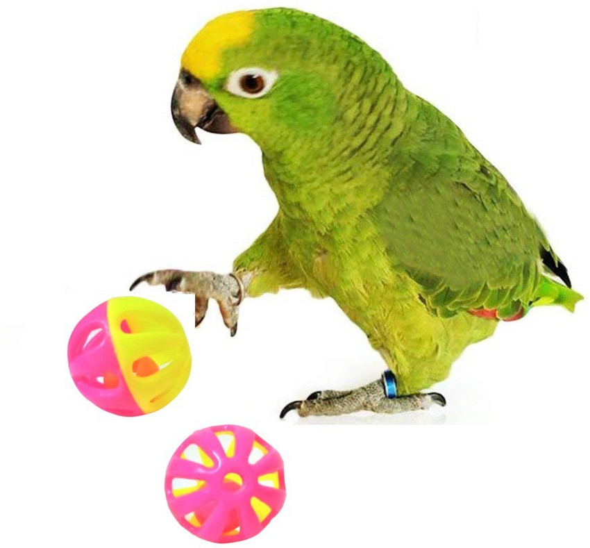 Parrot ball outlet