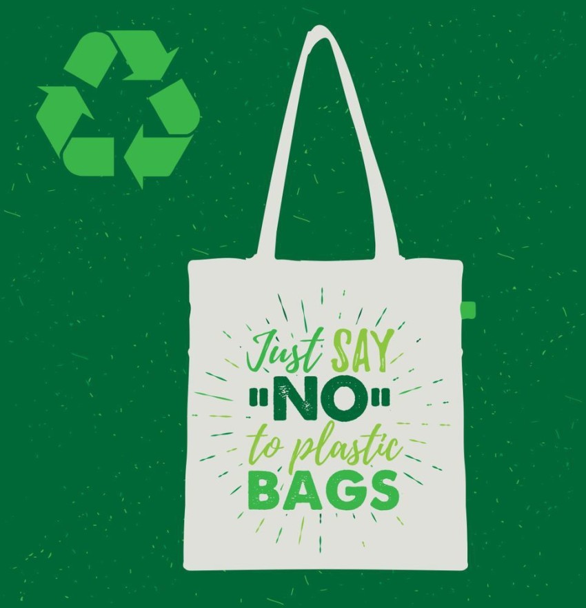 Draft a Poster an Say no to Plastic Bags - Brainly.in