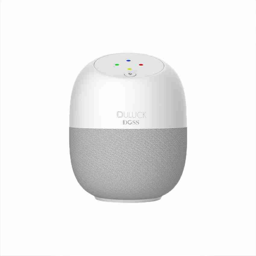 Buy Duluck Smart Wireless Bluetooth Speaker BT with Alexa built in