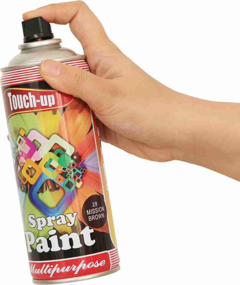 Bike touch up online paint