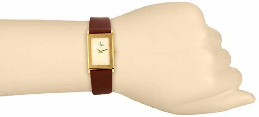 Titan classique 2025 291nl02 men's watch