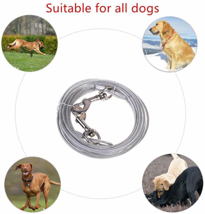 LALA LIFE Dog Leashes Dog Tie Out Cable and Reflective Stake 15 ft Outdoor,  Yard And Camping 450 cm Dog Chain Leash Price in India - Buy LALA LIFE Dog  Leashes Dog
