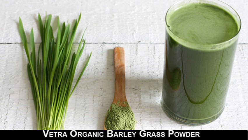 Young barley grass powder clearance