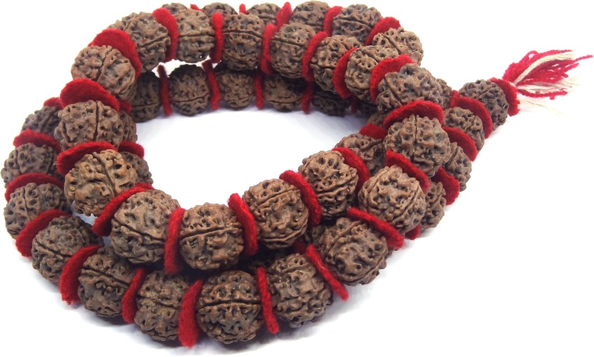 Himalaya rudraksha on sale