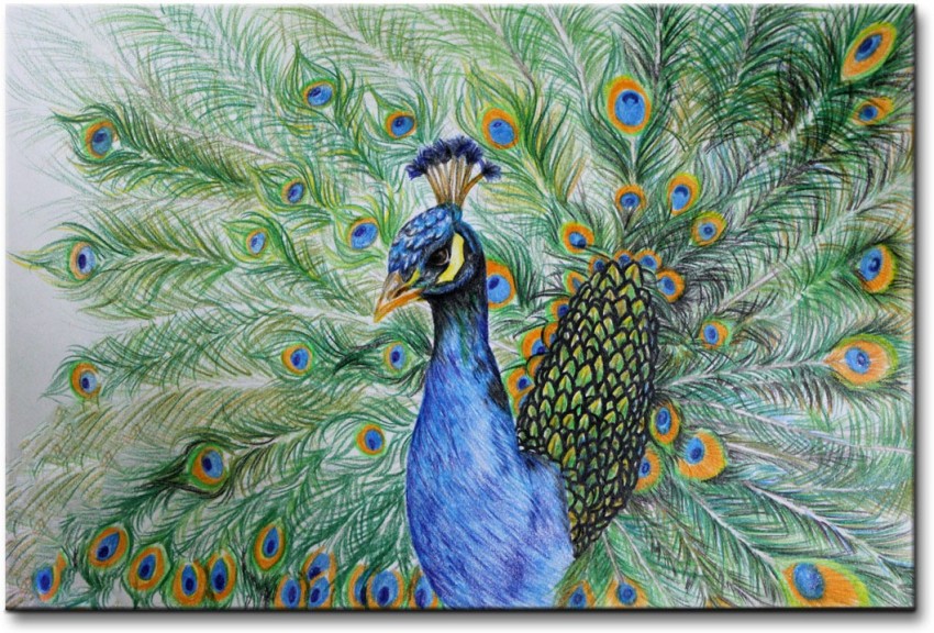 Pintura Canvas Painting With UV print of beautiful peacock Painting with  wooden frame  Art Print  Best for Gifting  Exclusive Designs  High  Quality Canvas 12 inch x 18 inch