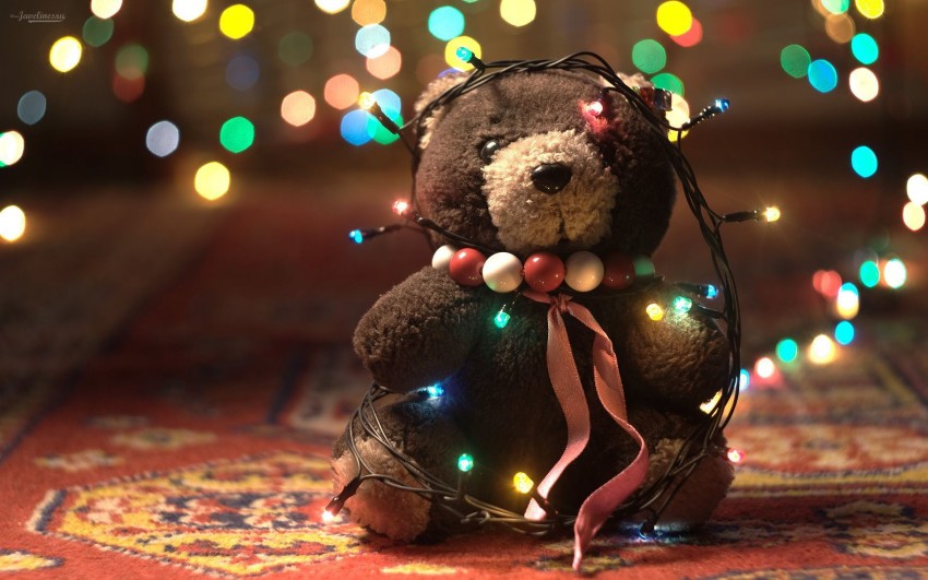 teddy bear christmas lights