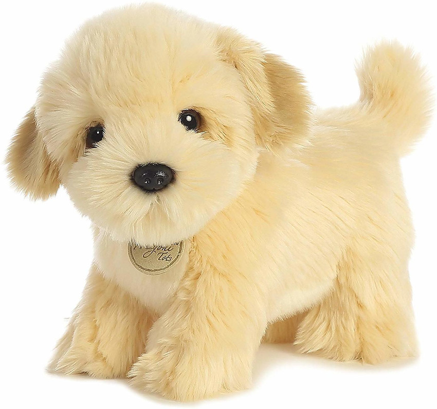Toy lhasa apso 2025