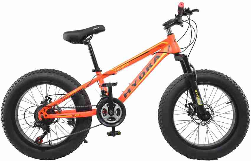Fat tyre cycle for 10 year old outlet