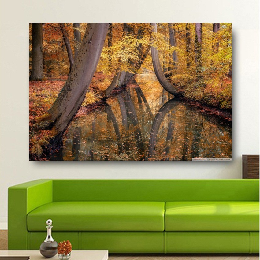 Sunbeams through the trees forest mural wallpaper  TenStickers