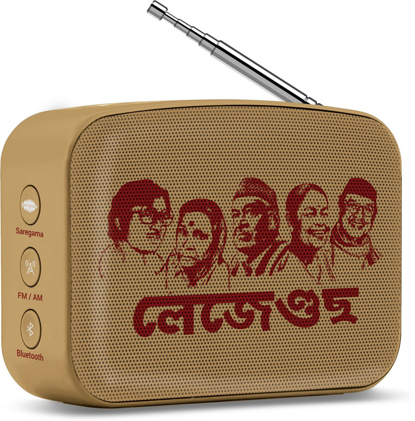 Carvaan mini flipkart online