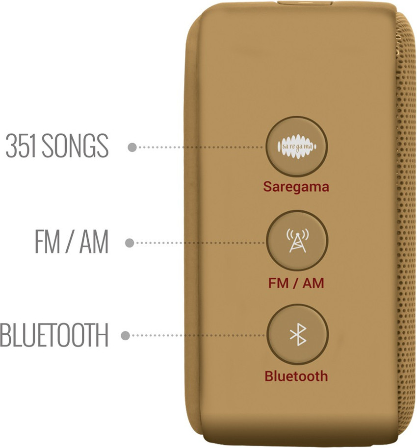 Saregama carvaan mini best sale flipkart