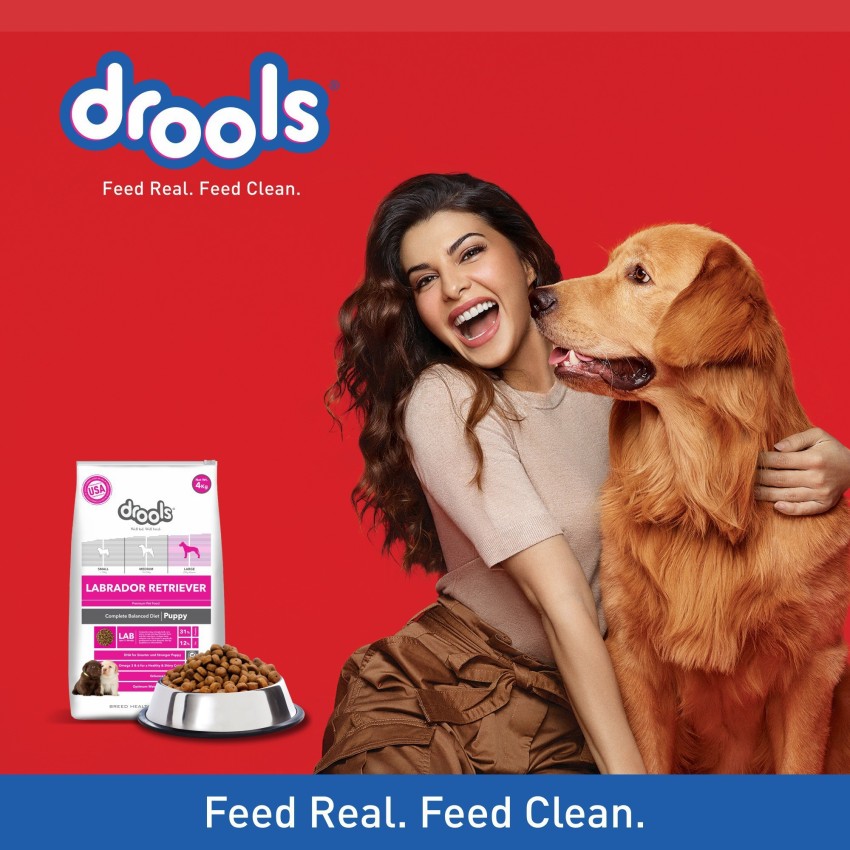 Drools labrador clearance puppy food 12kg