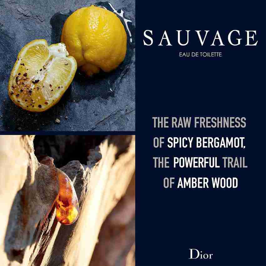 Dior sauvage edp 2025 ingredients