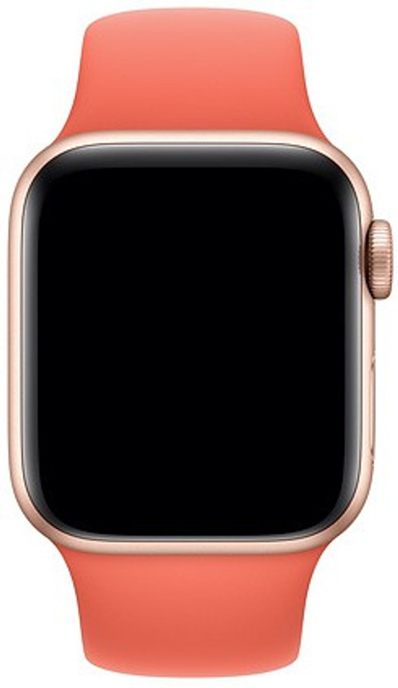 Apple online watch clementine