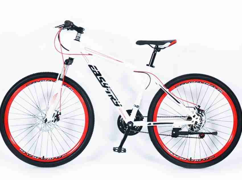 Mountain bike best sale low cost