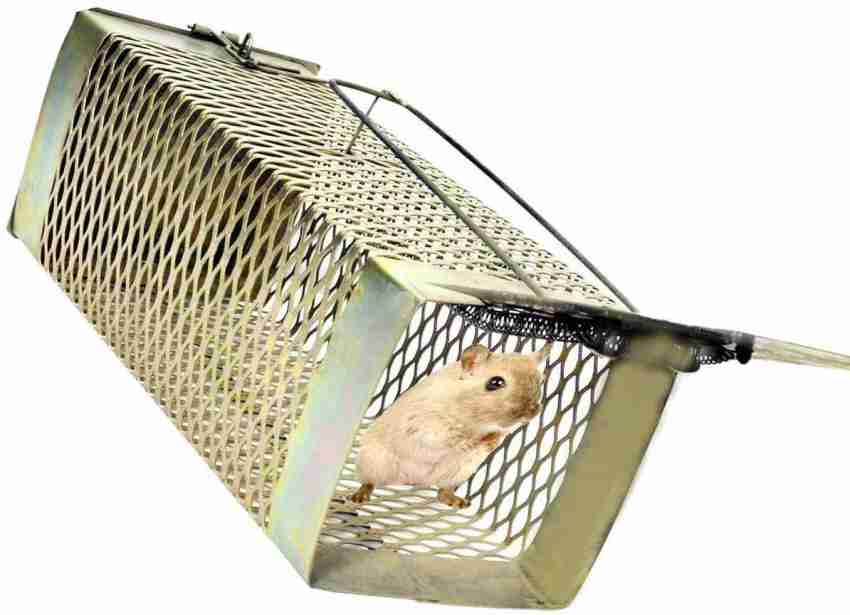 VD TOY'S Rat, Rodent, Mouse Trap/Catcher Iron Big Size - Ultimate Snap Trap  Price in India - Buy VD TOY'S Rat, Rodent, Mouse Trap/Catcher Iron Big Size  - Ultimate Snap Trap online