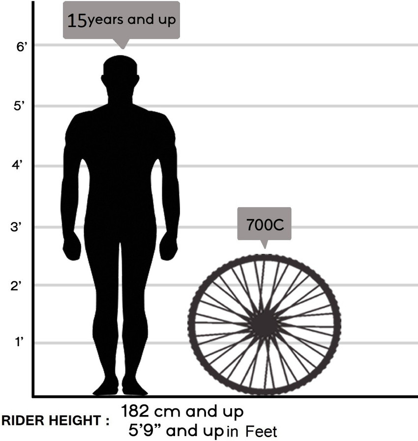 Giant roam sales 3 medium