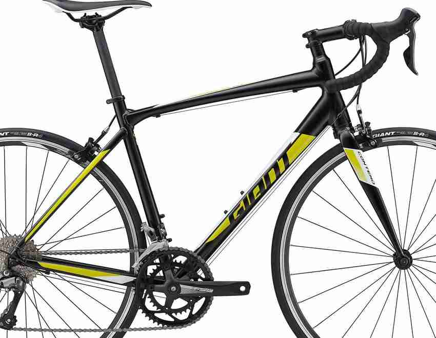 Giant contend 3 2021 sales