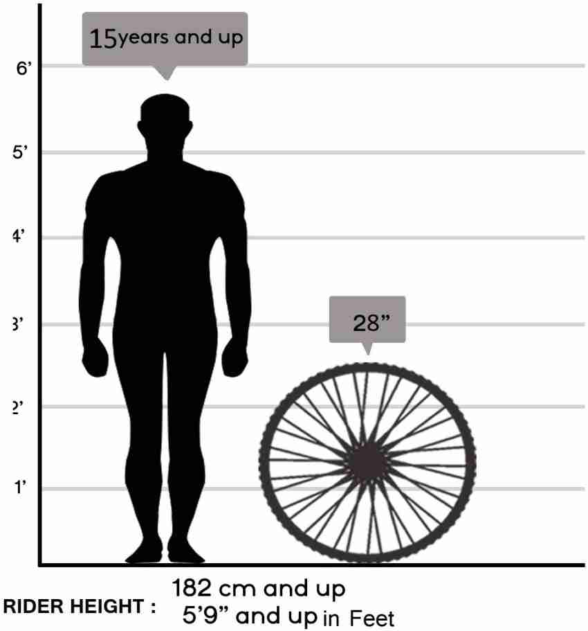 Cannondale caad8 shop size chart