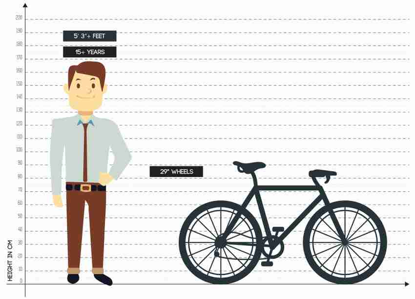 Zoom bike 2025 suspension
