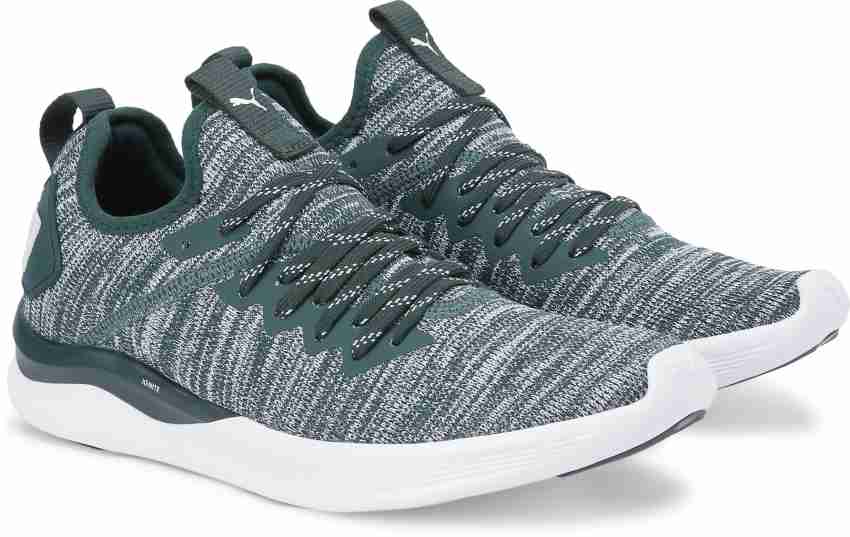 PUMA IGNITE Flash evoKNIT Wn s Adults Female green Ignite