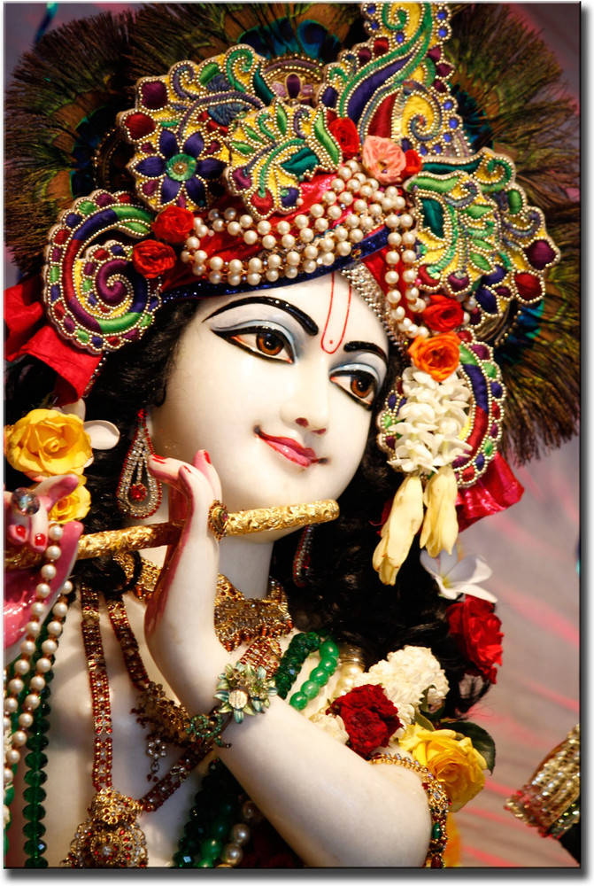 Lord cheap krishna pics