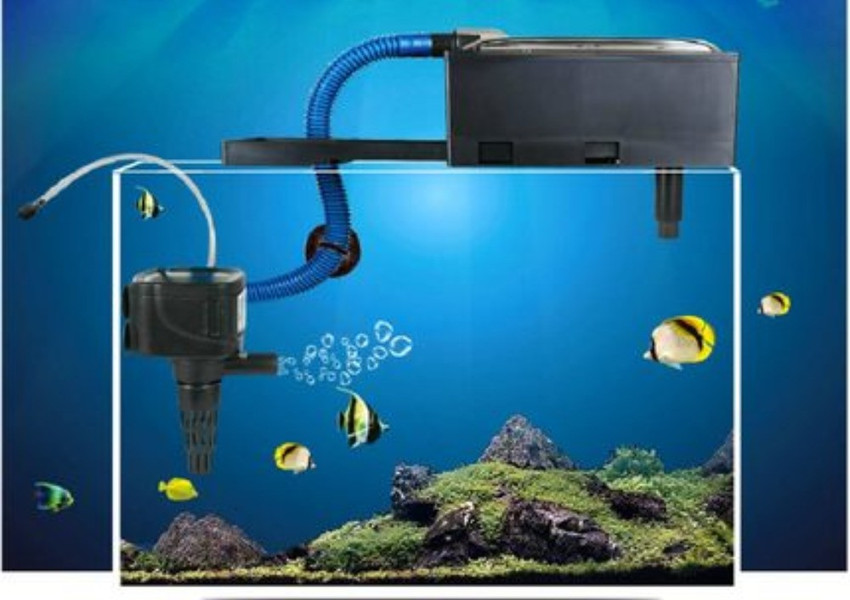 Aquarium filter setup store