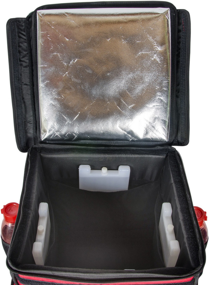 Hot Delivery Classic Cold Food Insulated Delivery Bag Ice Cream