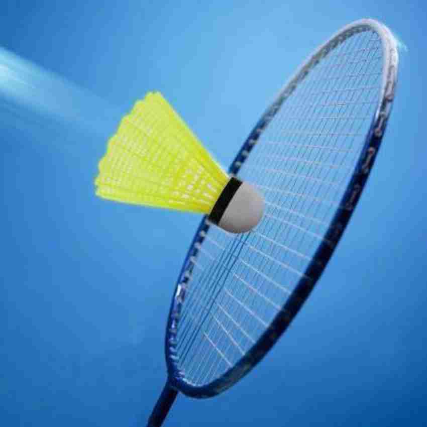 Badminton and shuttle hotsell