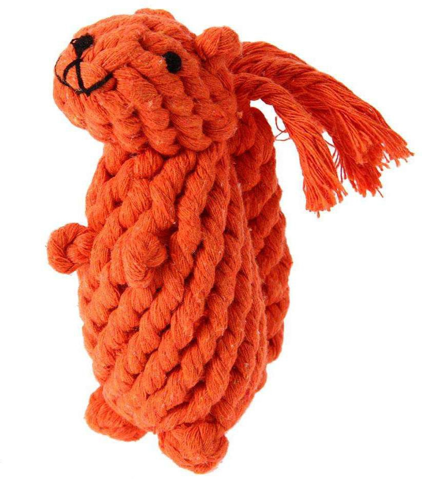 Squirrel rope dog toy top