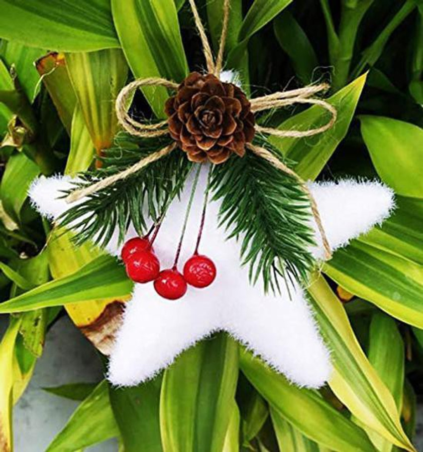 Top 83+ christmas cherry decorations latest seven.edu.vn