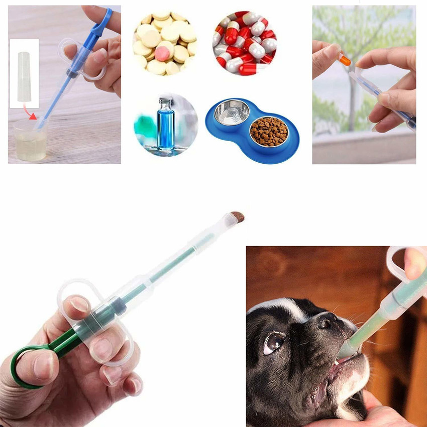 Food syringe sale for dogs