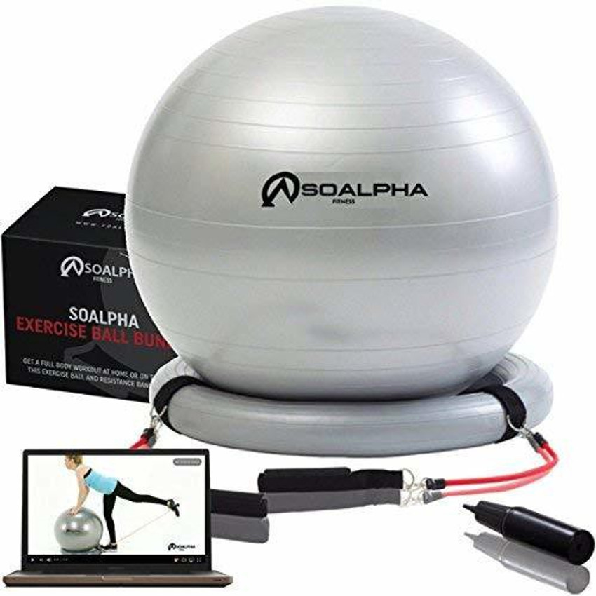 Alpha best sale exercise ball