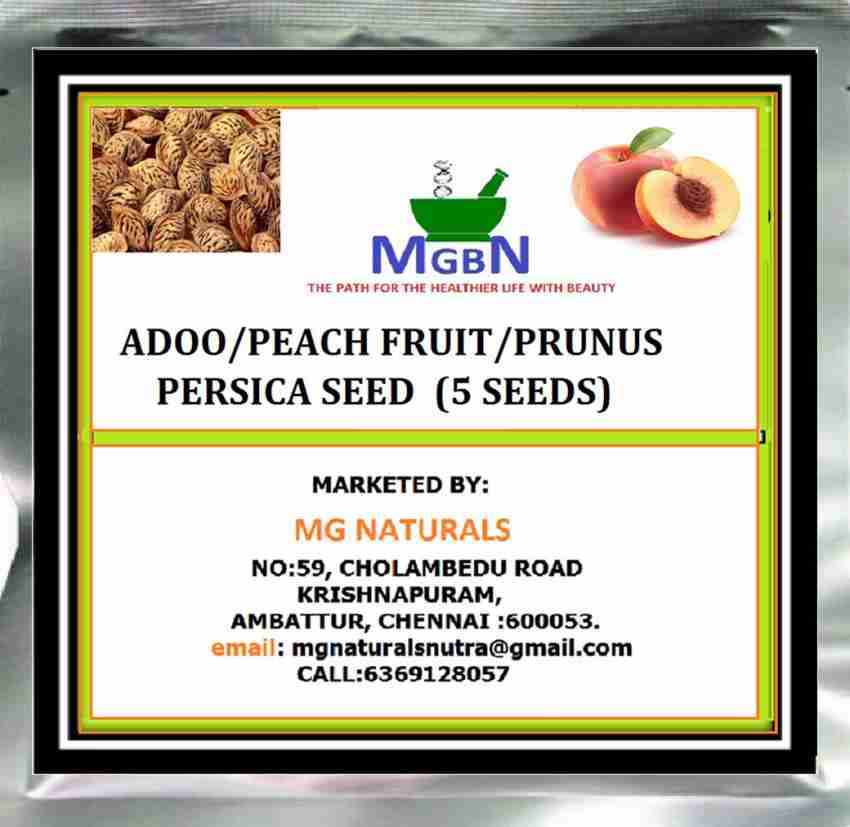 prunus persica seed
