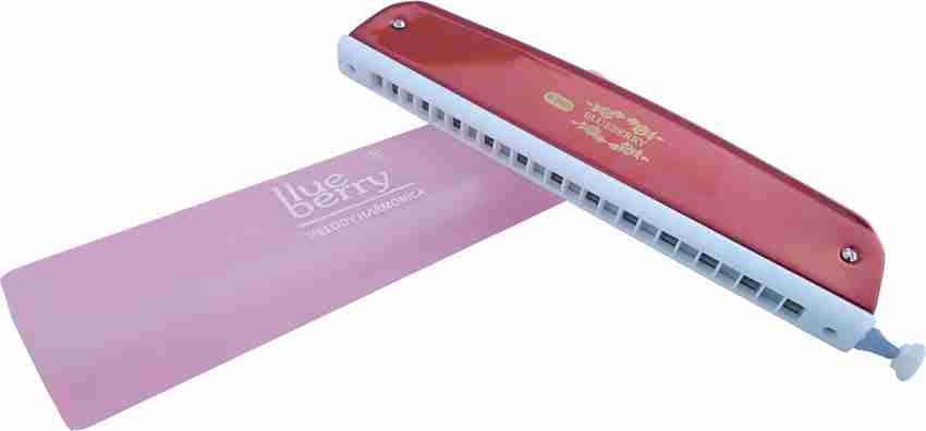 Blueberry harmonica store