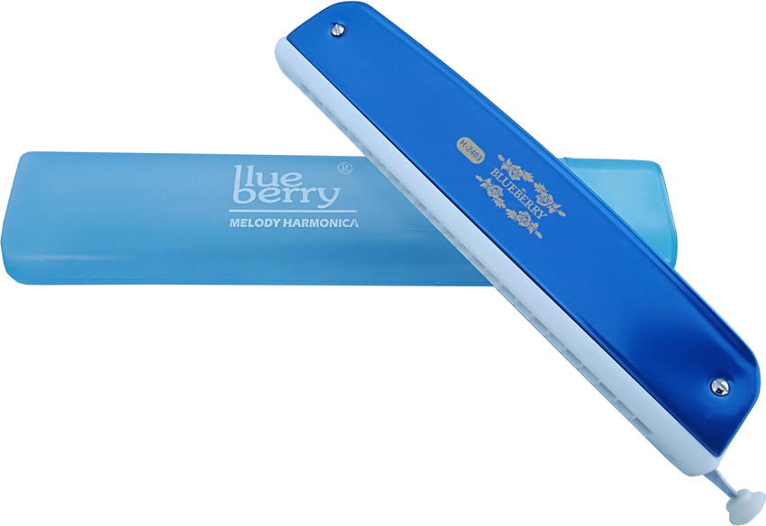 Blueberry harmonica hotsell
