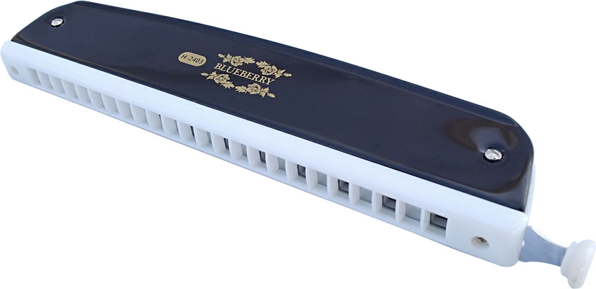 Blueberry chromatic harmonica outlet