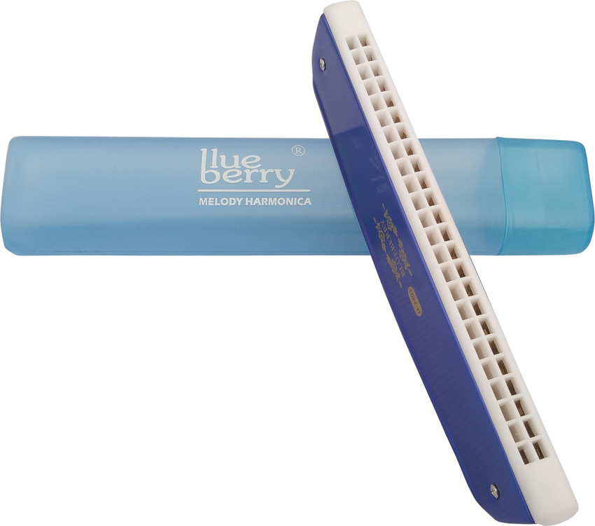 BLUEBERRY H 2402 24 Holes Key C Mouth Organ 48 Tone With Case