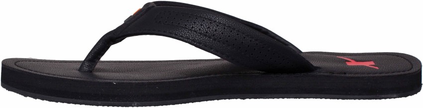 Sparx Men Slippers Buy Sparx Men Slippers Online at Best Price