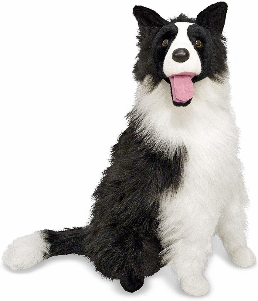 Melissa and sale doug border collie