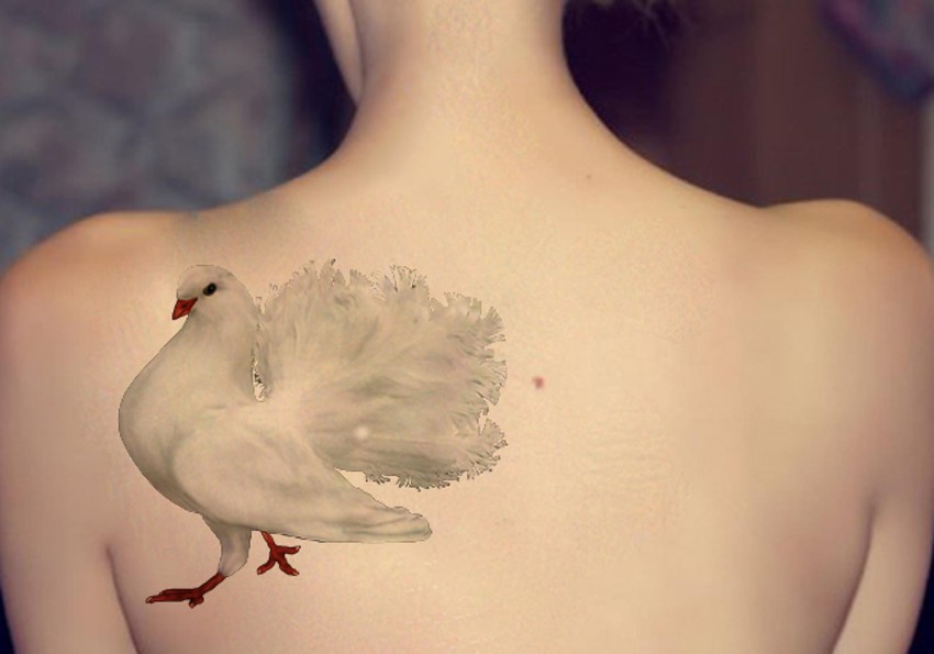 10 Best Pigeon Tattoo IdeasCollected By Daily Hind News – Daily Hind News