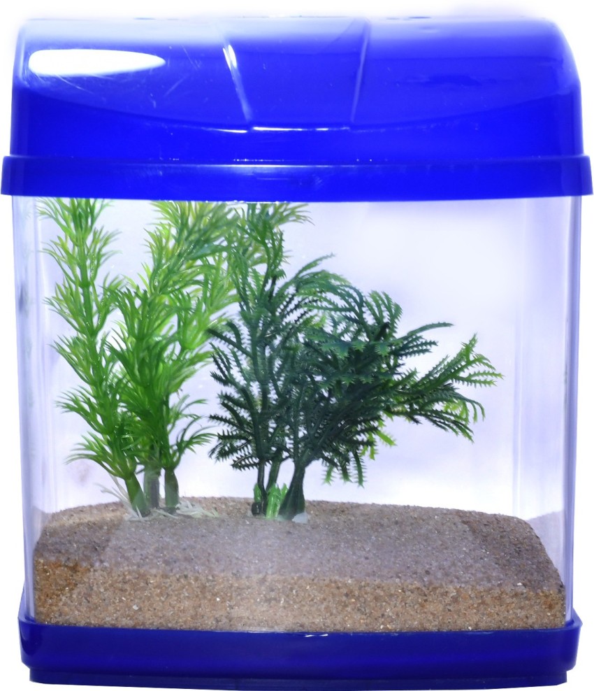 Buy Beta Fish Tank Small online