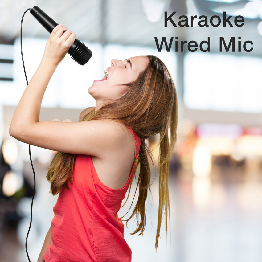 Mitashi karaoke sales mic 1020