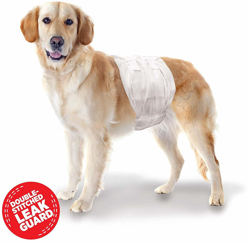 petco male wraps