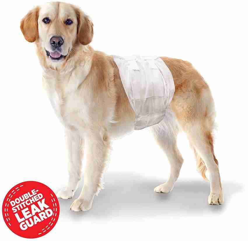 Wee wee male dog wraps cheap