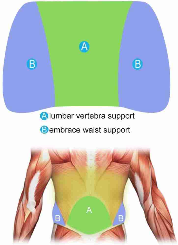 What is lumbar support and what different types of lumbar supports