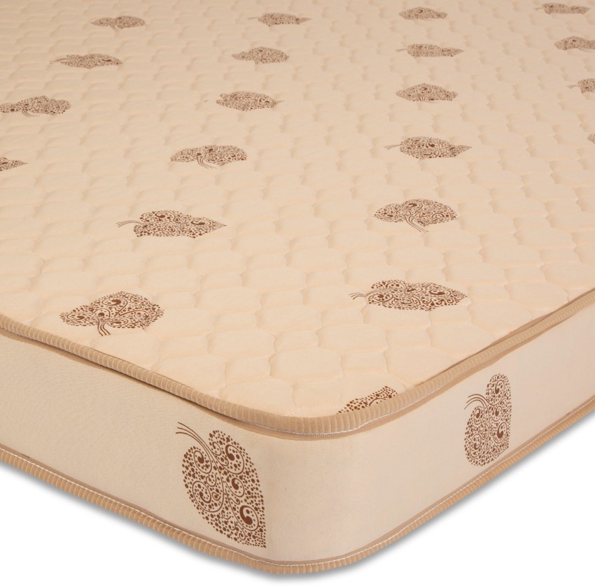 5x6 2024 mattress price