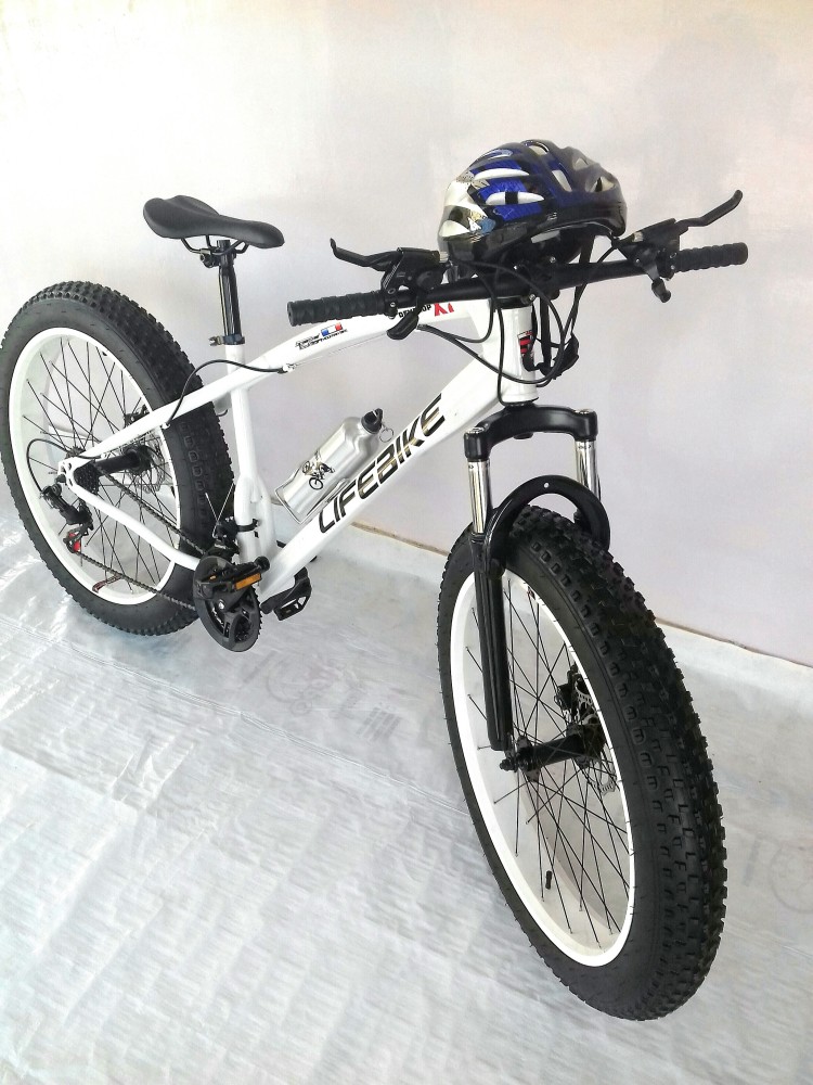 Lifebike best sale foldable bike